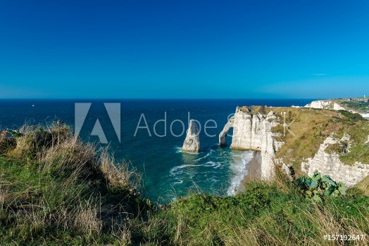 Picture of The cliffs named the needle and the aval in Etretat